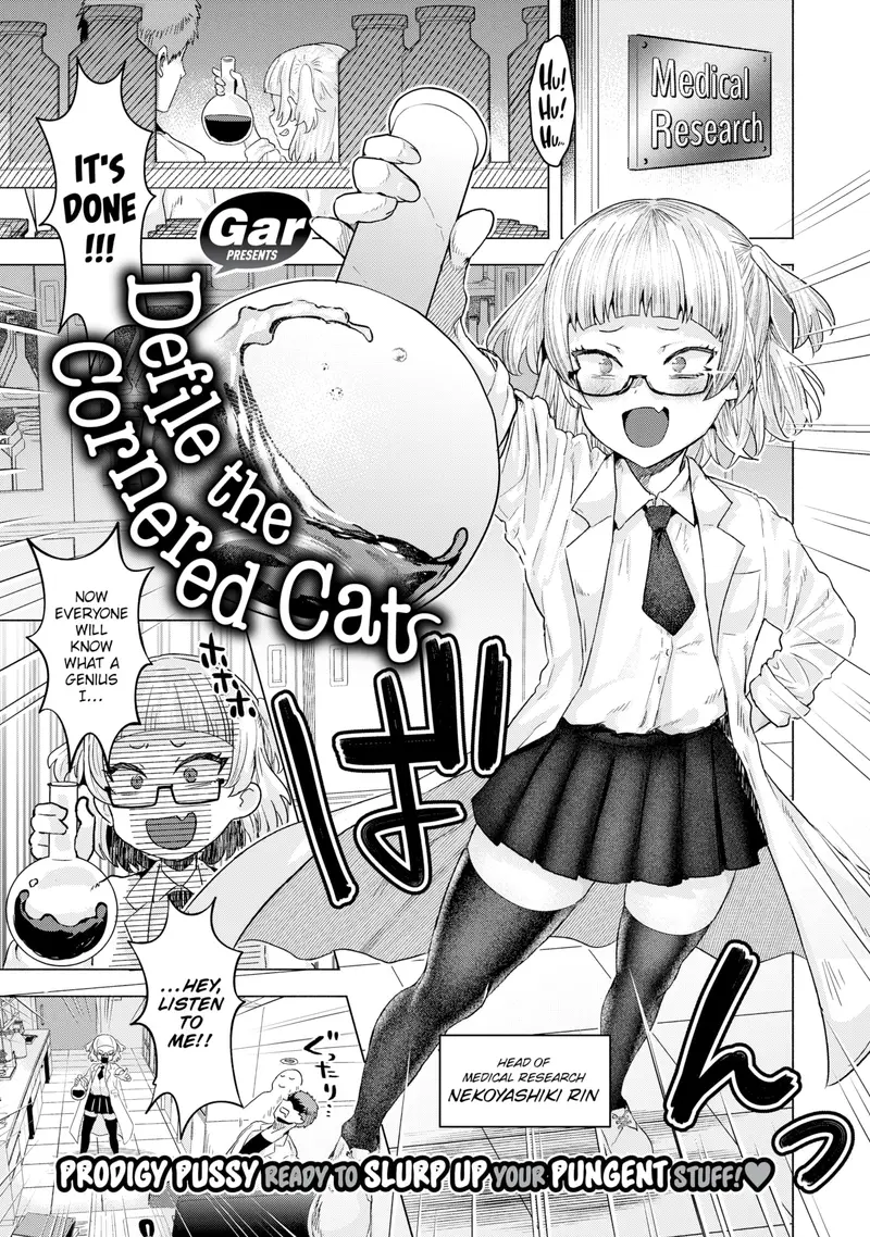 'Defile the Cornered Cat' cover