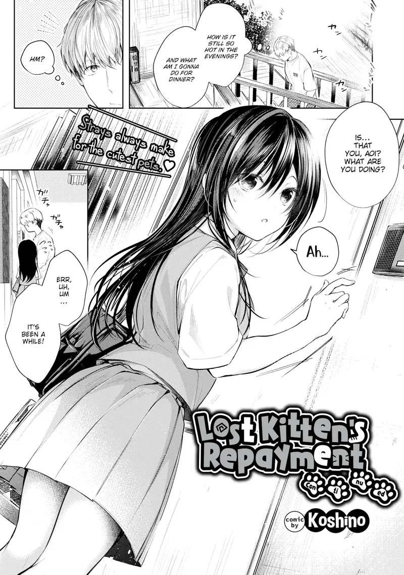 'Lost Kitten's Repayment - Continued' cover