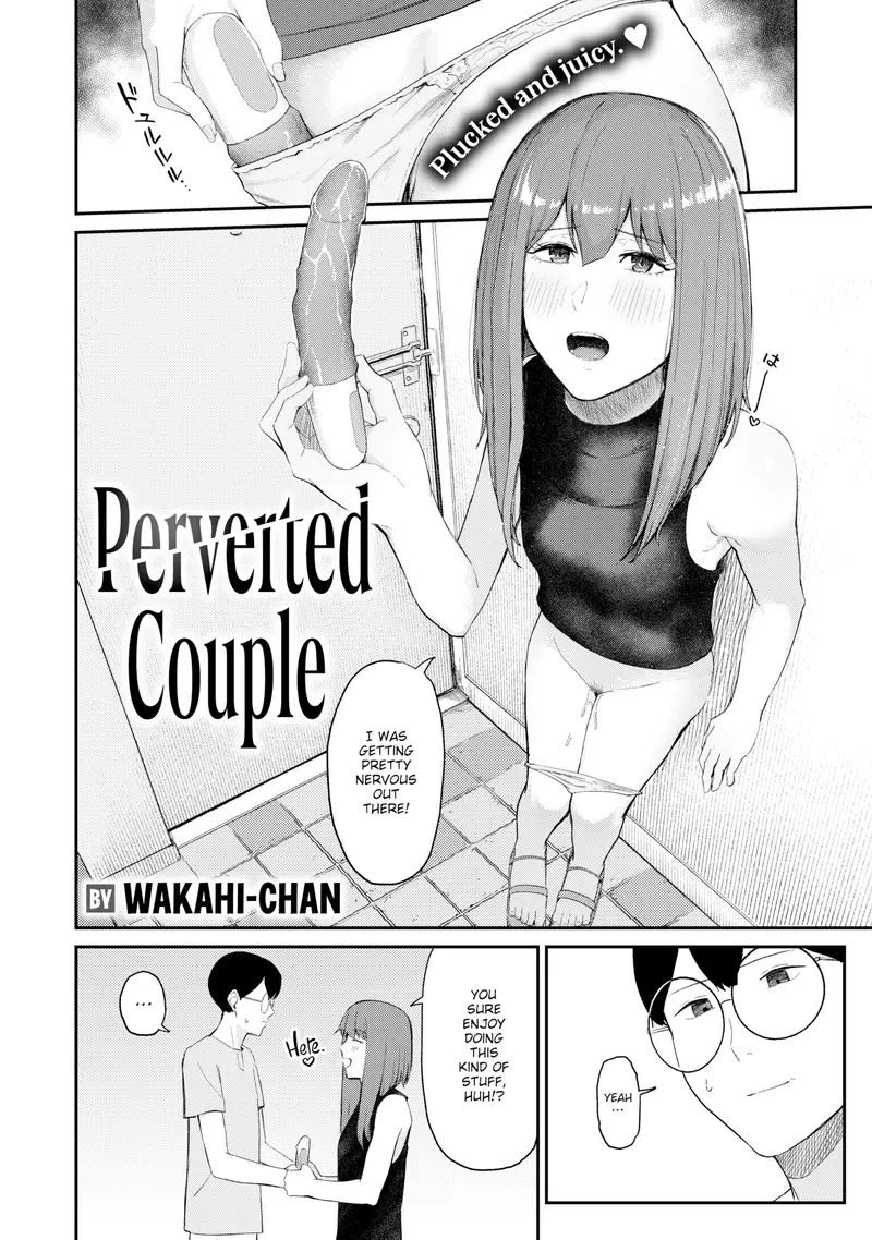 'Perverted Couple' cover