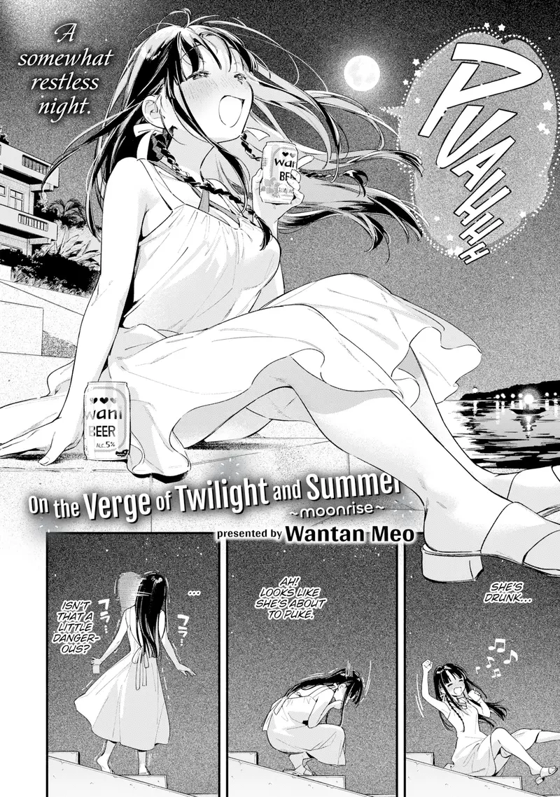 'On the Verge of Twilight and Summer ~Moonrise~' cover