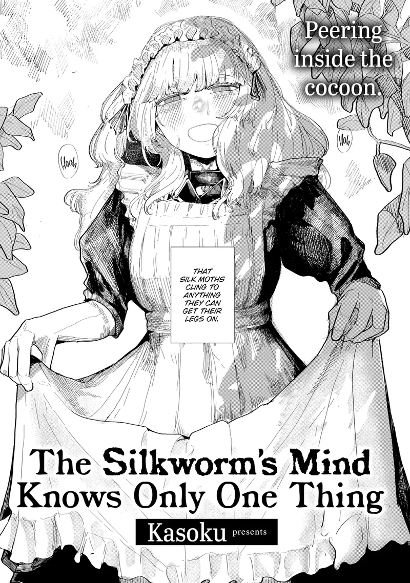 'The Silkworm's Mind Knows Only One Thing' cover