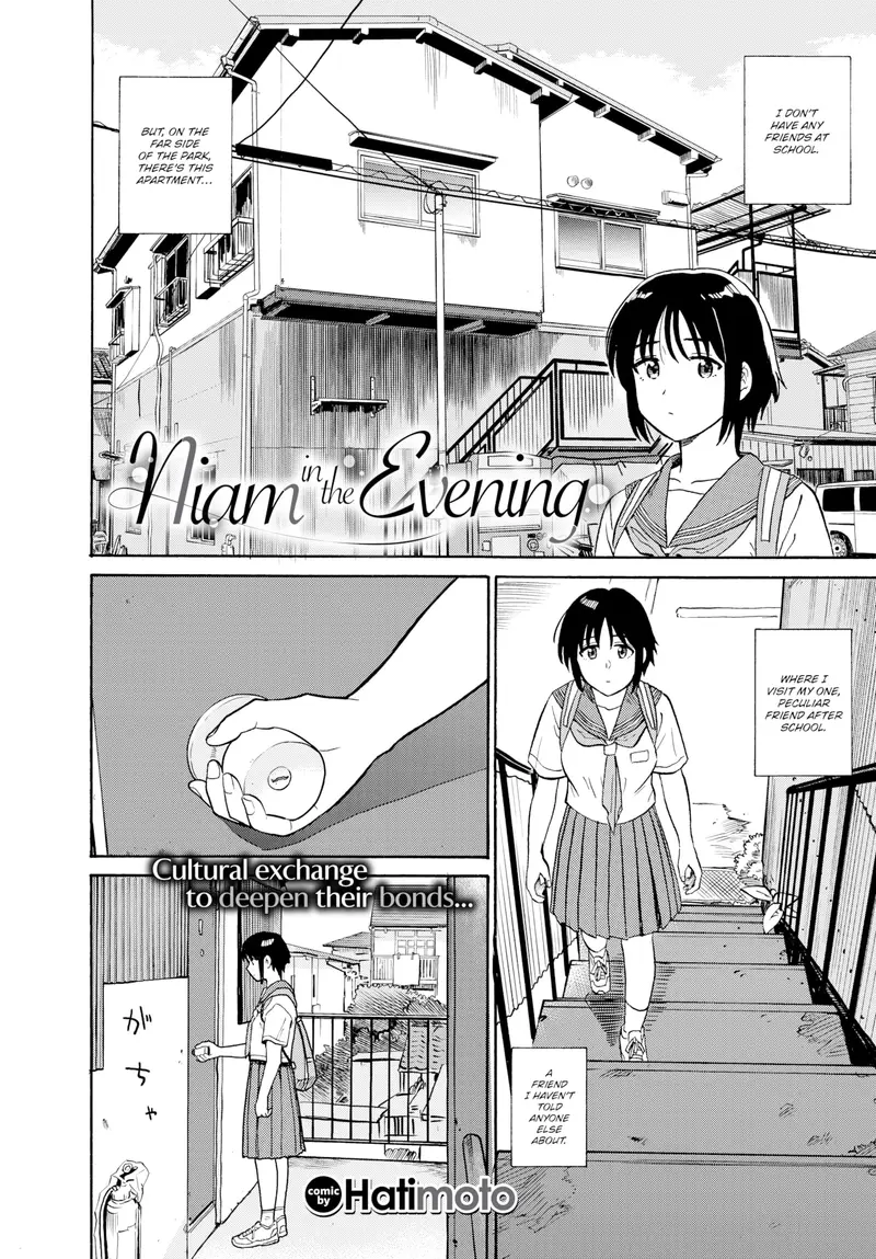 'Niam in the Evening' cover