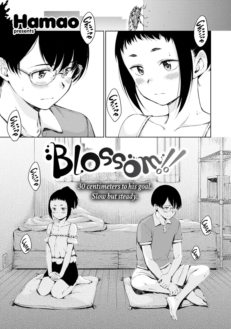 'Blossom!!' cover