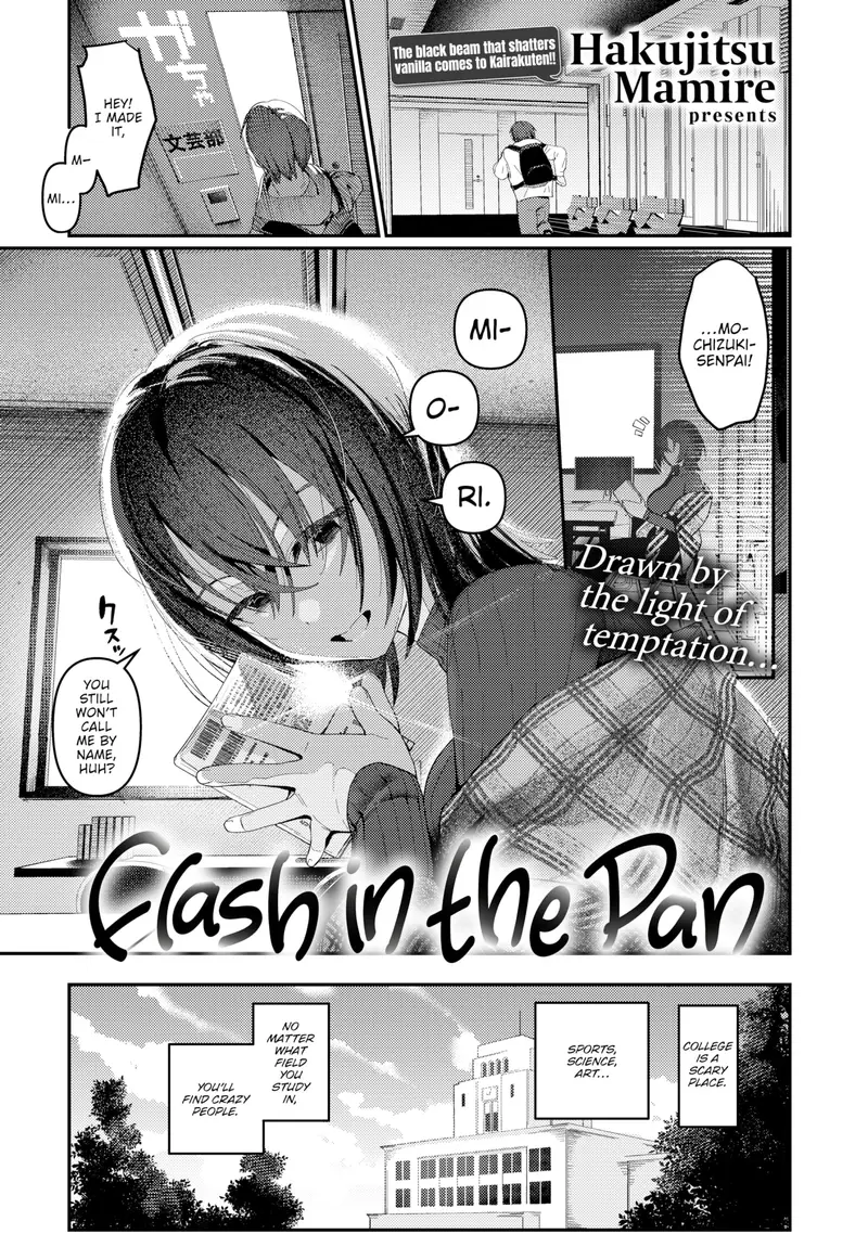 'Flash in the Pan' cover