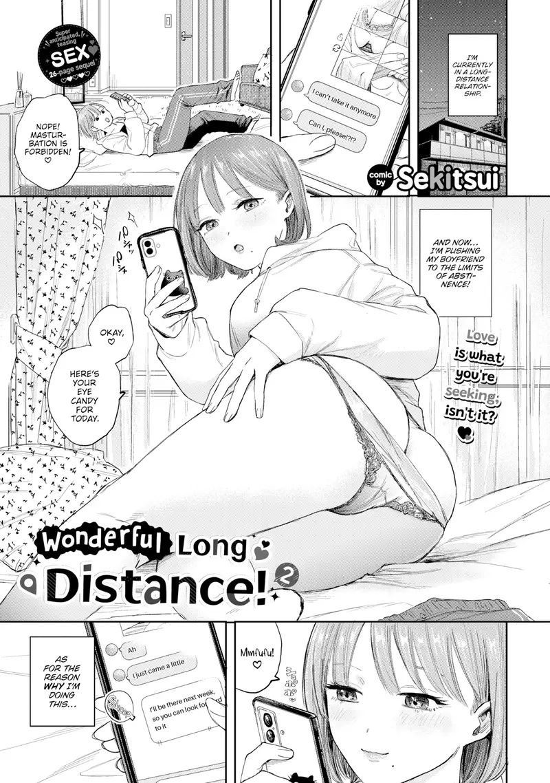 'Wonderful Long Distance! 2' cover
