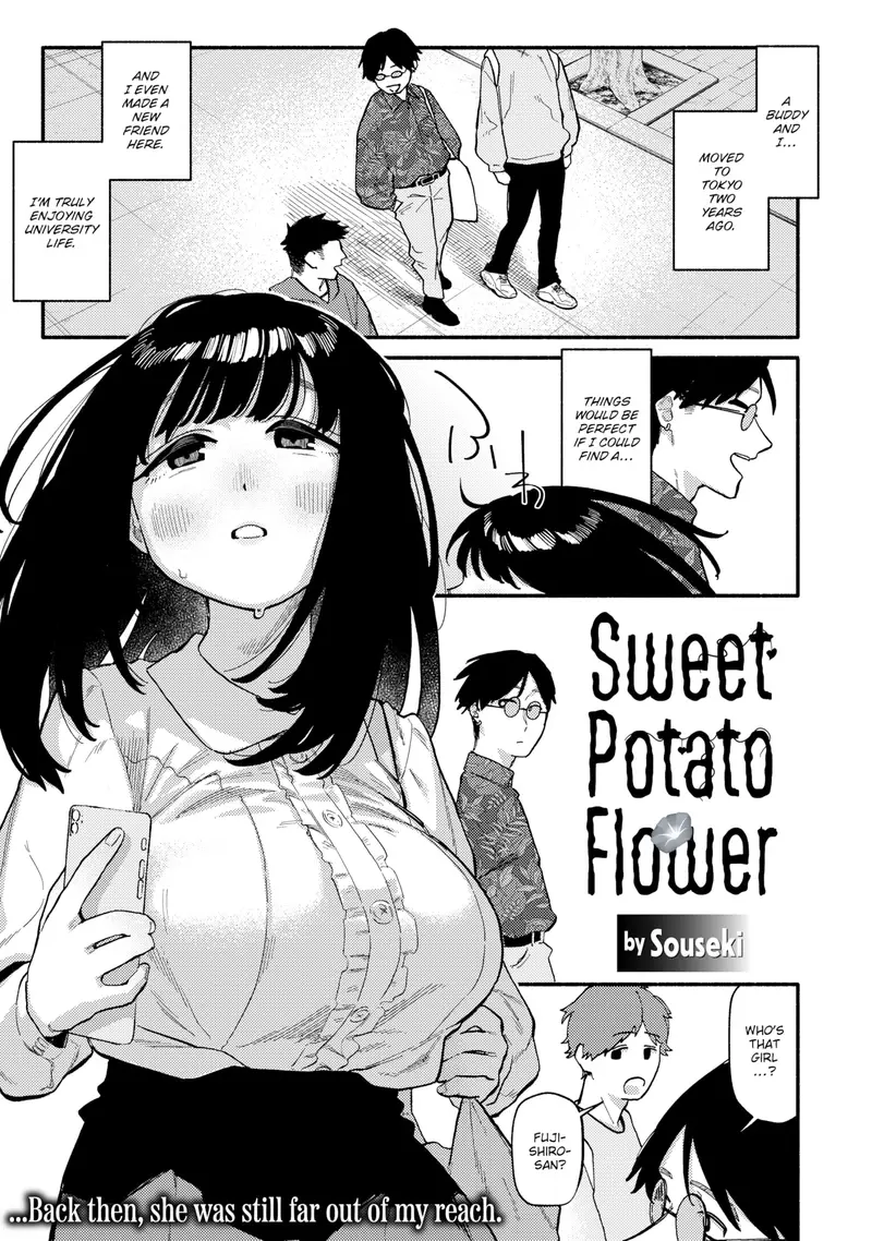 'Sweet Potato Flower' cover