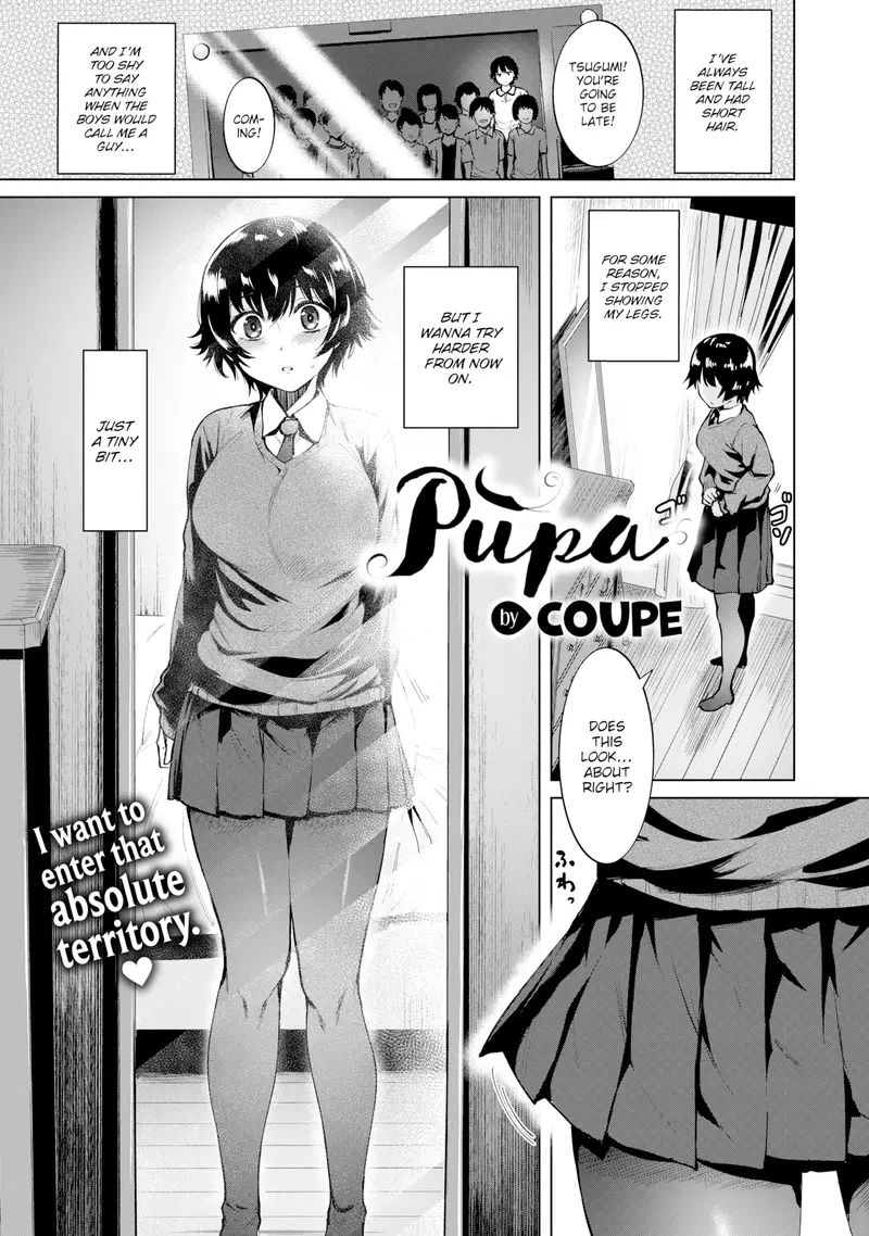 'Pupa' cover