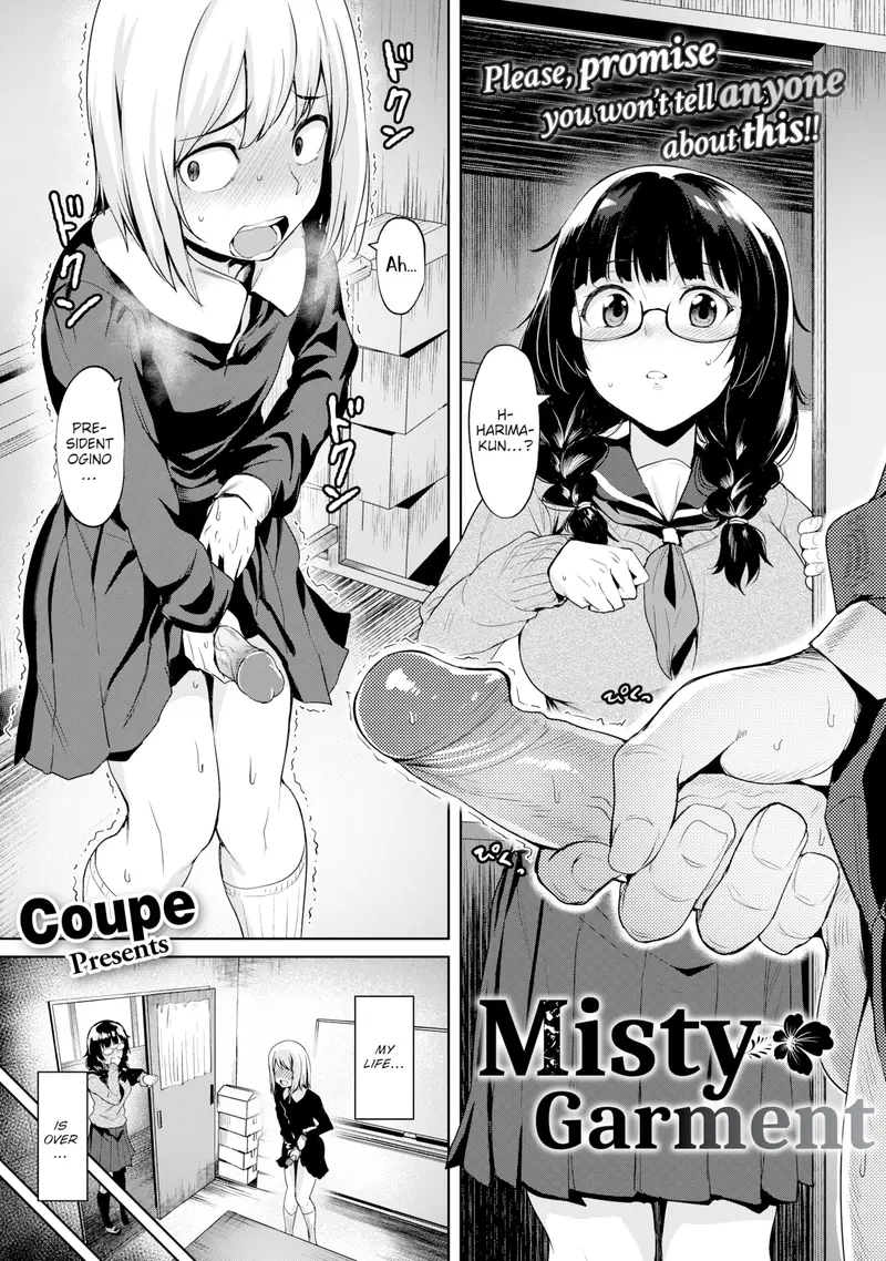 'Misty Garment' cover