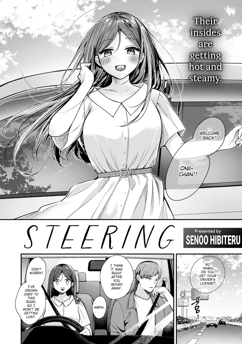 'Steering' cover