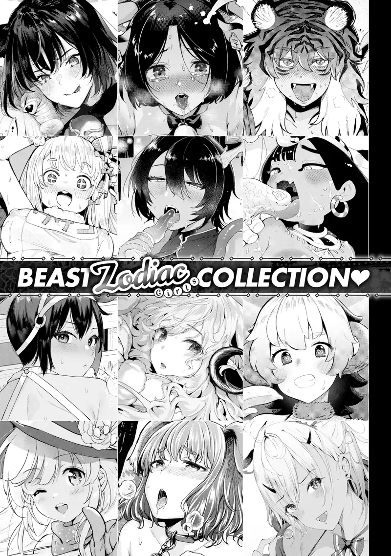 'BEAST Zodiac Girls Collection ❤' cover
