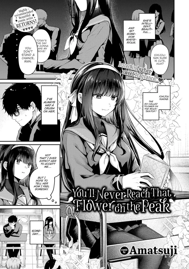 'You'll Never Reach That Flower on the Peak' cover