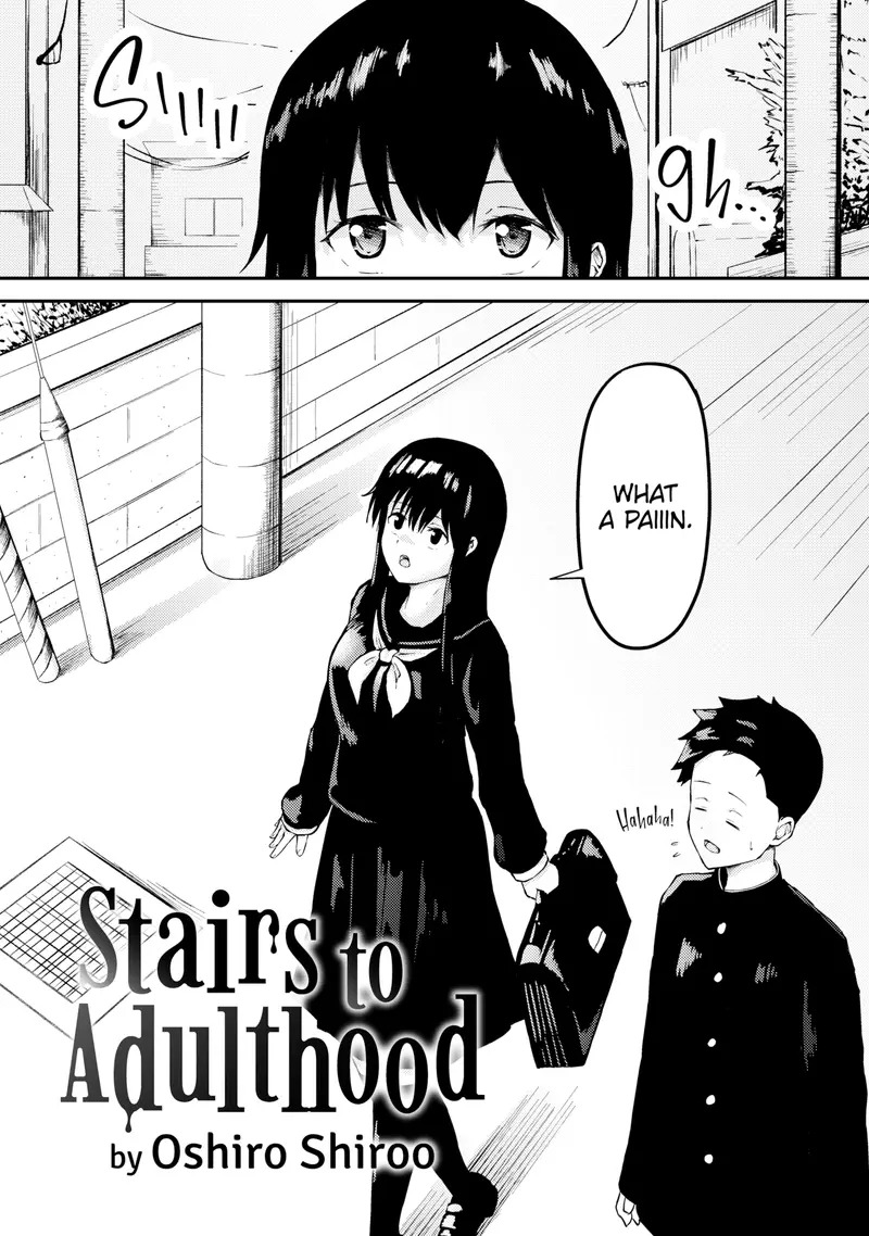 'Stairs to Adulthood' cover