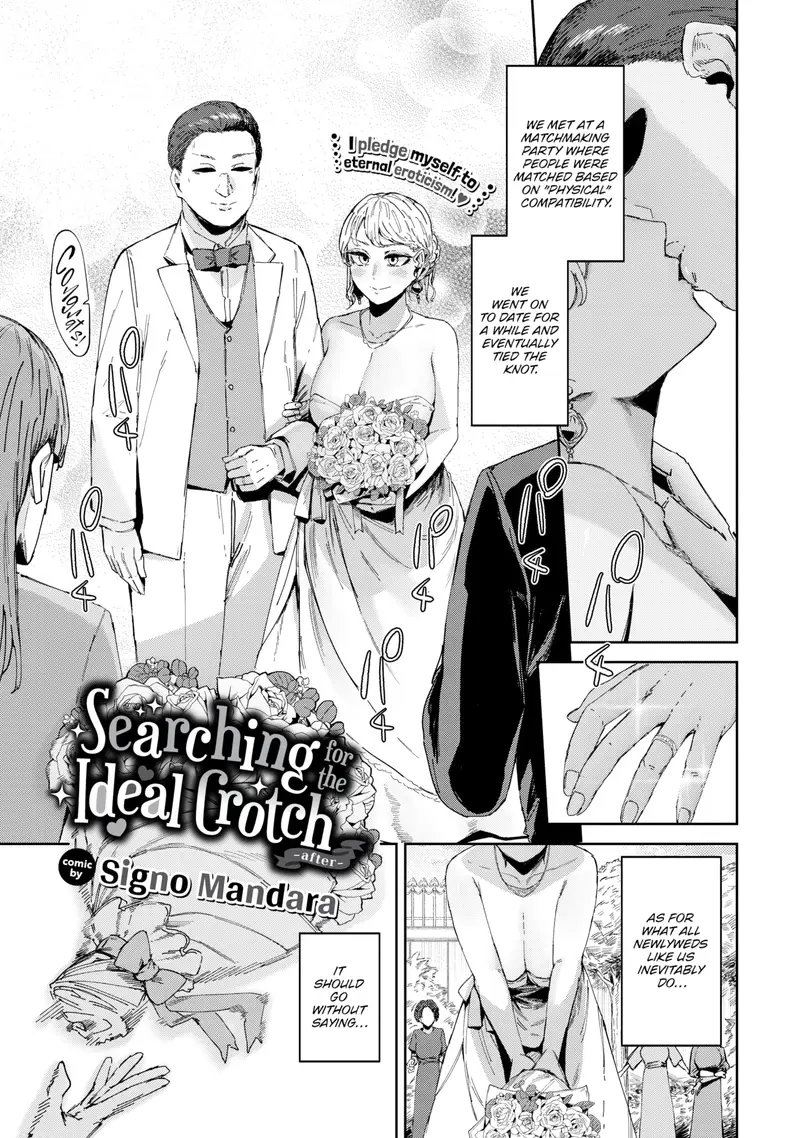 'Searching For the Ideal Crotch ~After~' cover