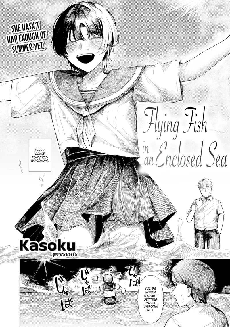 'Flying Fish in an Enclosed Sea' cover