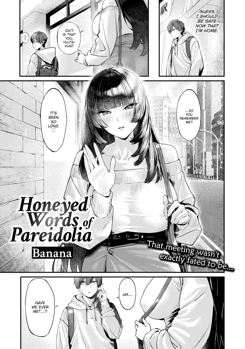 'Honeyed Words of Pareidolia' cover