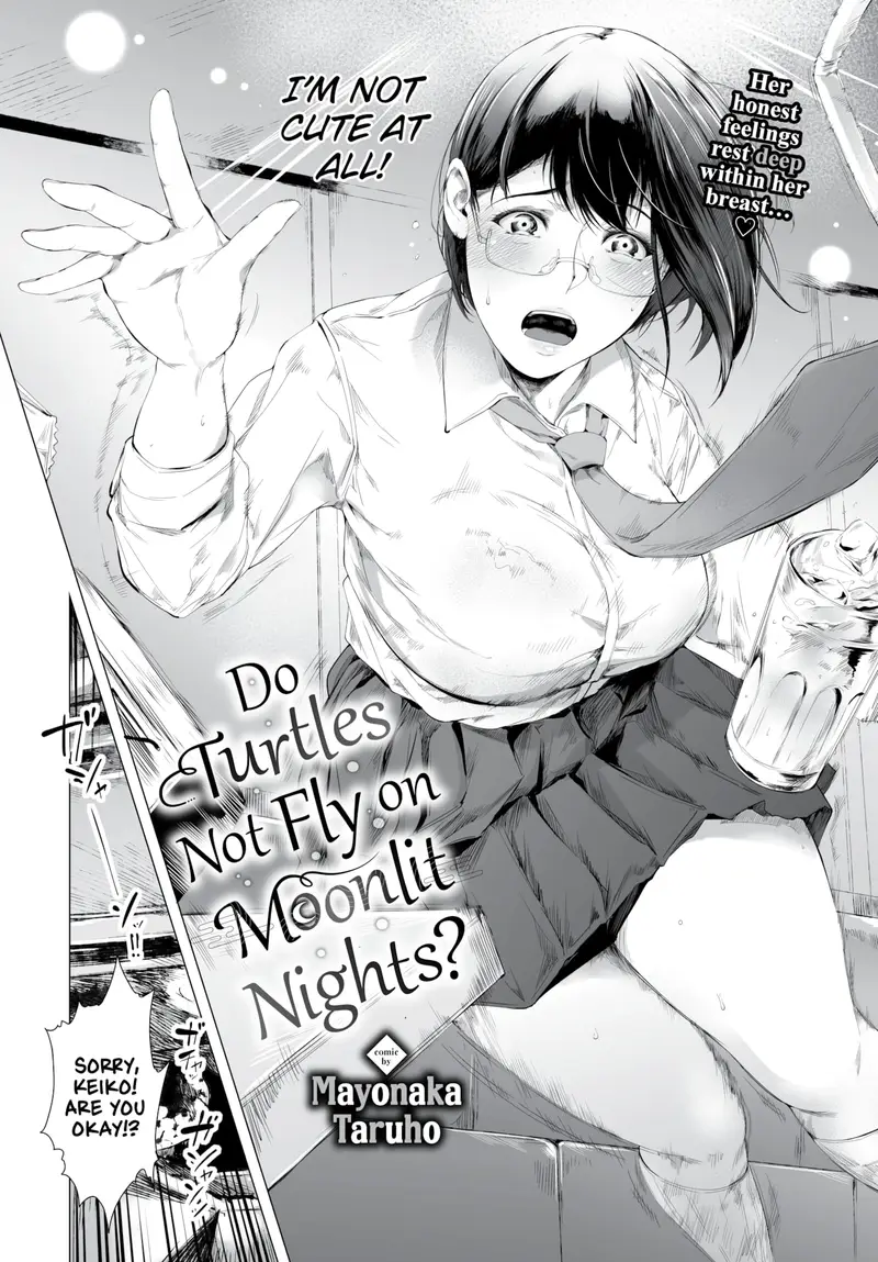 'Do Turtles Not Fly on Moonlit Nights?' cover