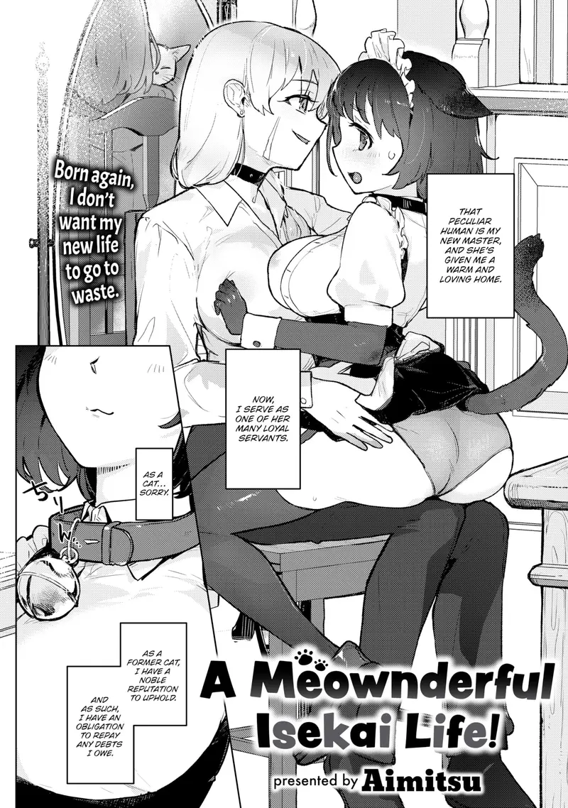 'A Meownderful Isekai Life!' cover