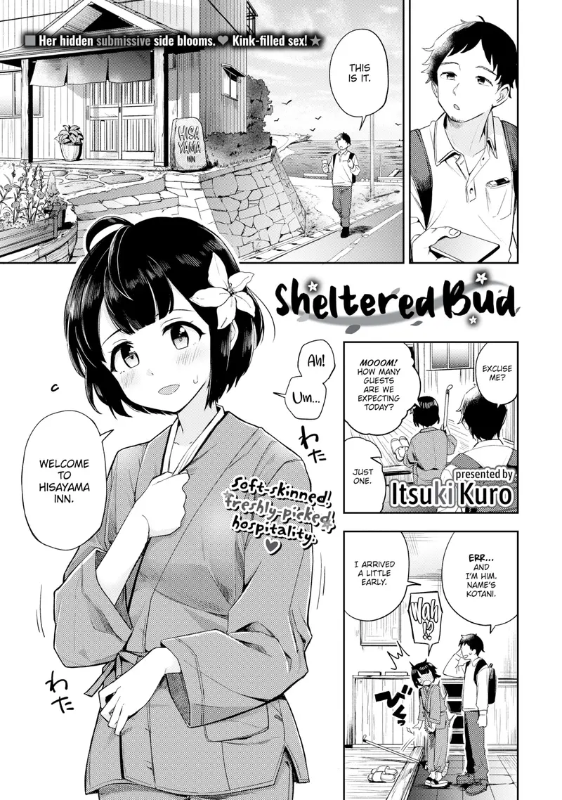 'Sheltered Bud' cover