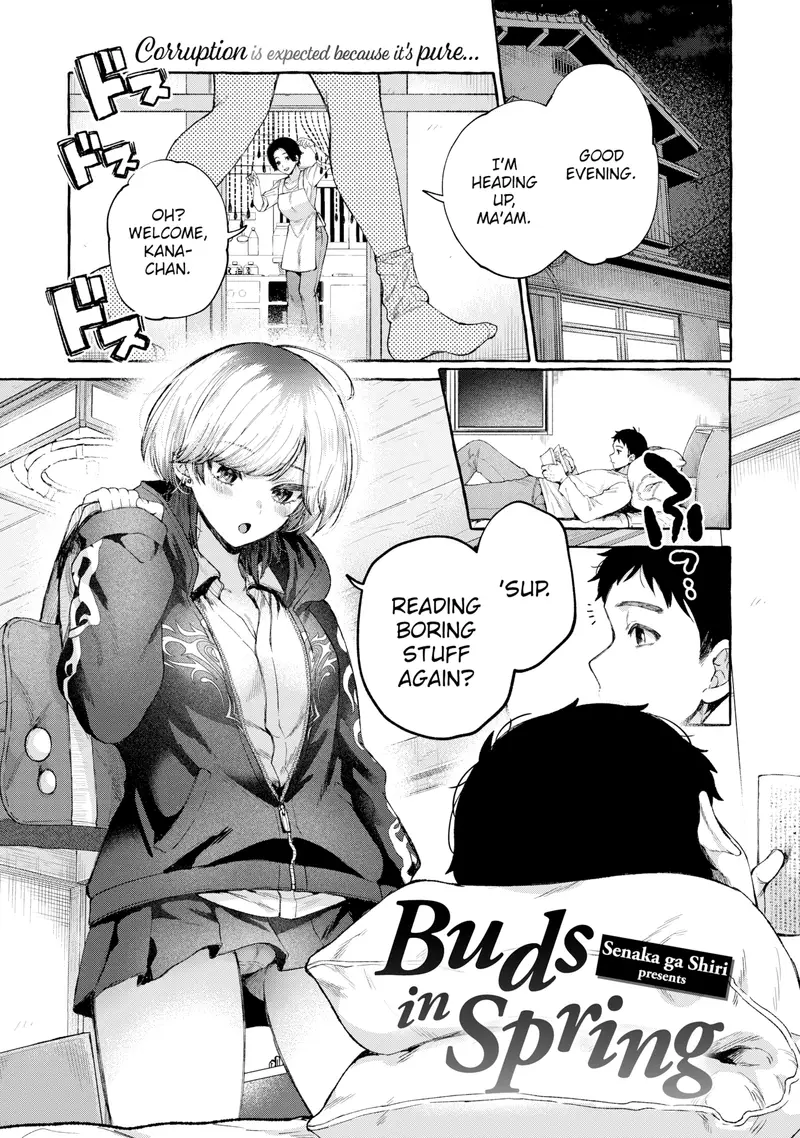 'Buds in Spring' cover