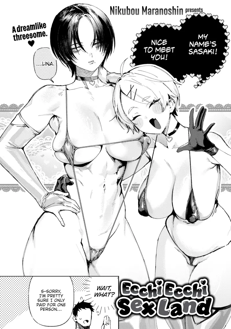 'Ecchi Ecchi Sex Land' cover