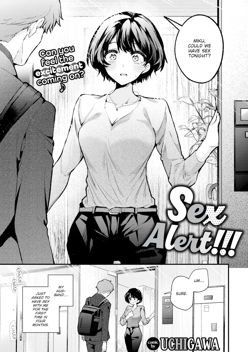 'Sex Alert!!!' cover