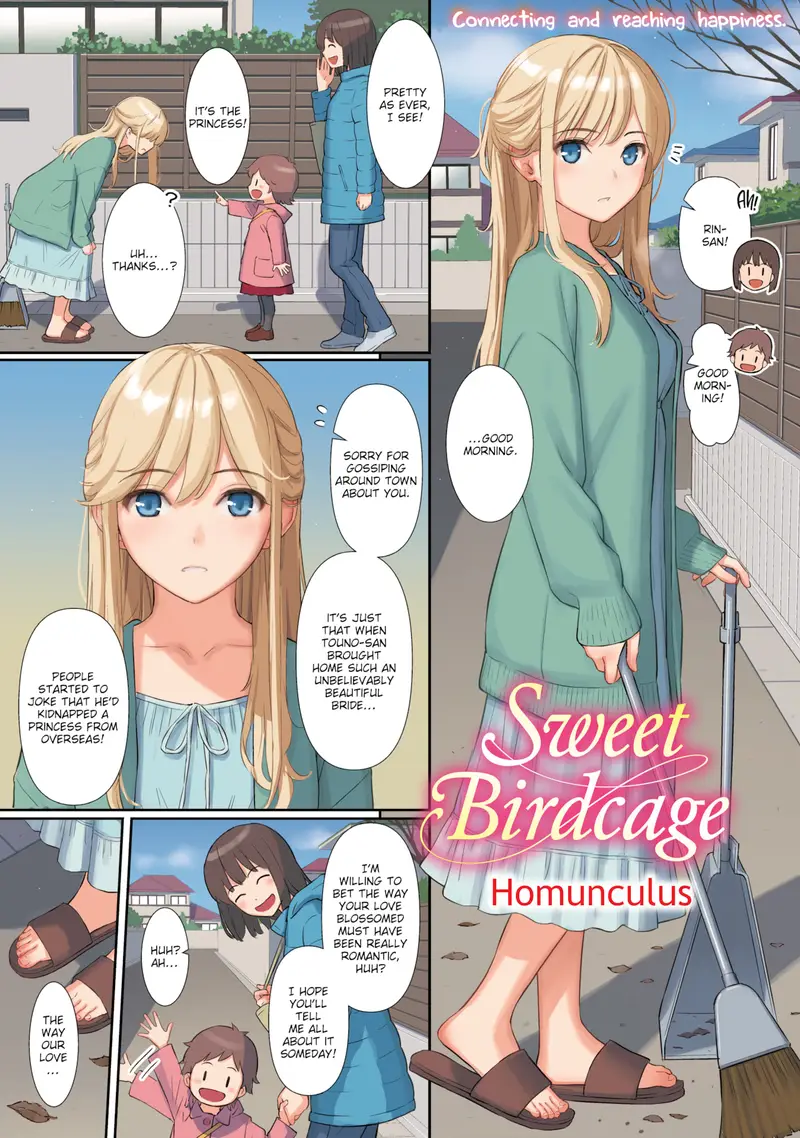 'Sweet Birdcage' cover