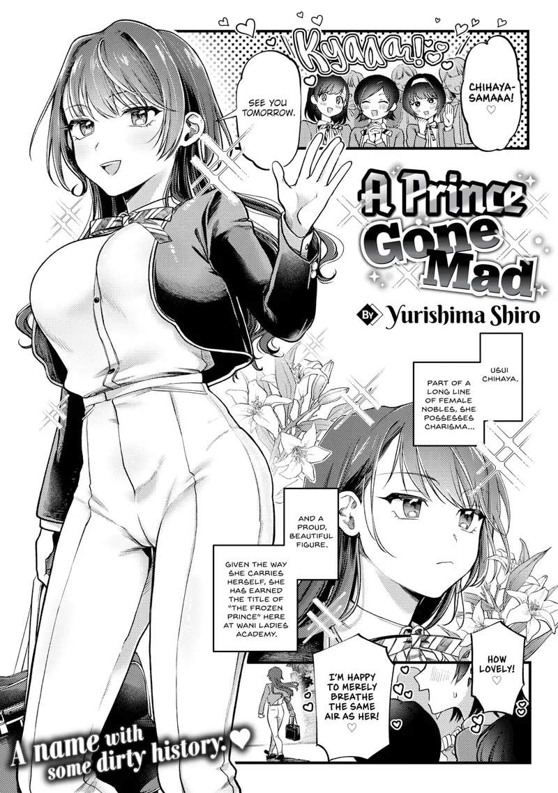'A Prince Gone Mad' cover