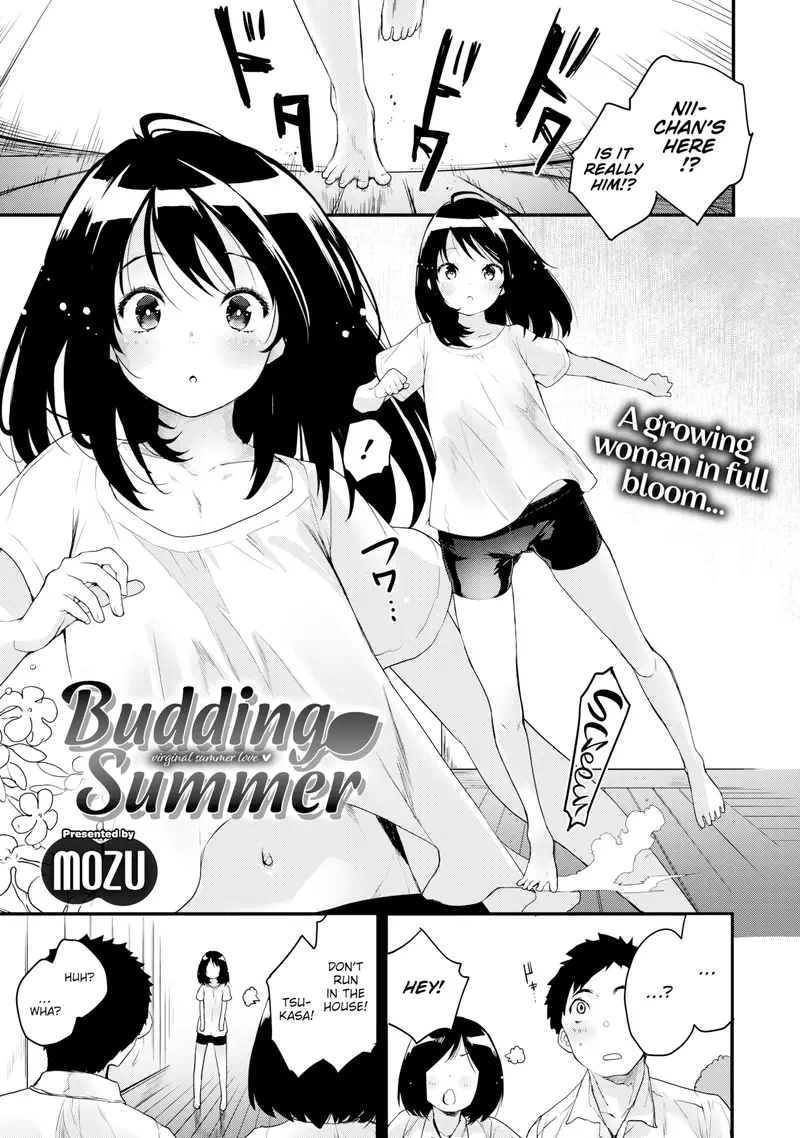 'Budding Summer' cover