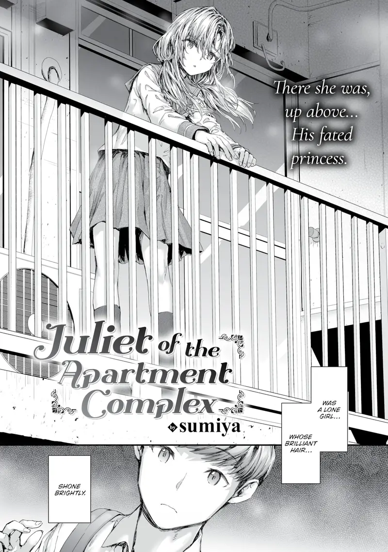 'Juliet of the Apartment Complex' cover